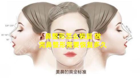 鼻整形怎么恢复 做完鼻整形需要恢复多久
